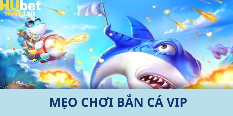 Tổng hợp các mẹo tham gia chơi săn cá cực hay đến từ chuyên gia