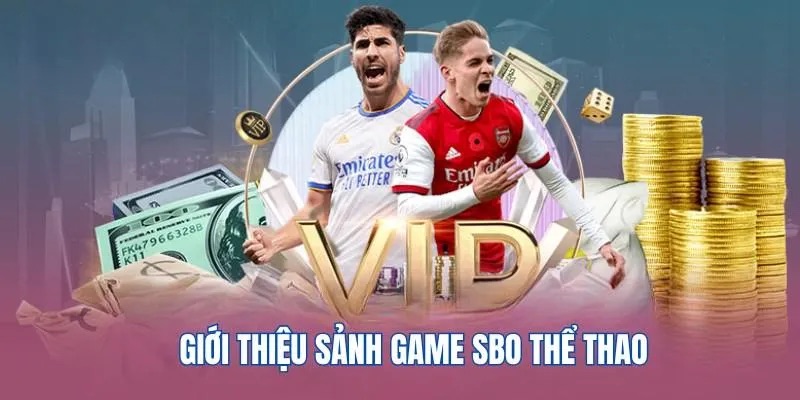 Khái quát thông tin về sảnh cược SBO Sports hubet