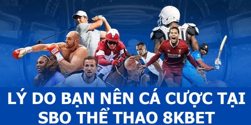 Một vài lý do khiến sảnh SBO Sports tại hubet được ưa chuộng