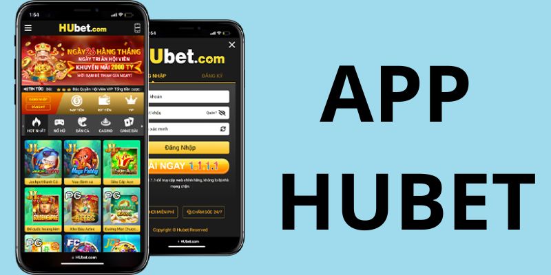 Tổng quan ứng dụng hubet
